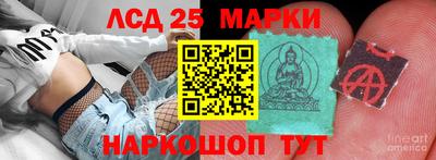 гидра Шебекино