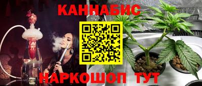гидра Ярославль